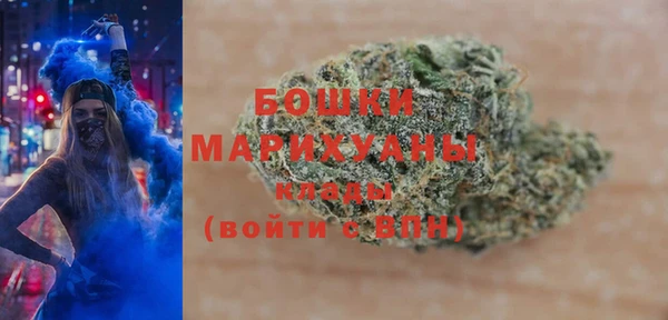 крисы Инта
