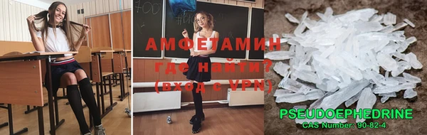 крисы Инта