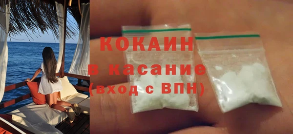 крисы Инта