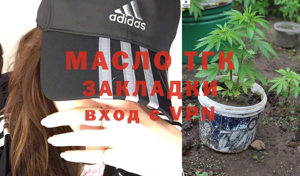 ECSTASY Инсар