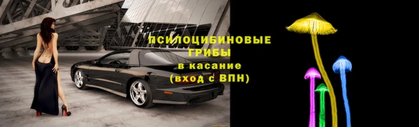 скорость Каменногорск