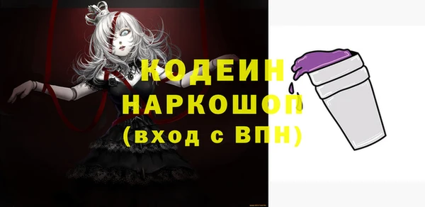 крисы Инта