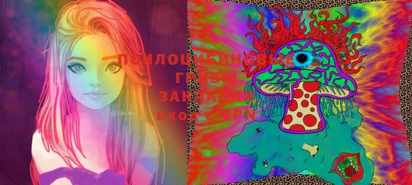 крисы Инта