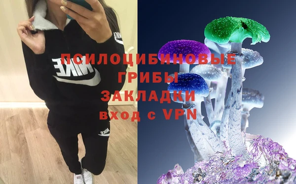 гидра Иннополис