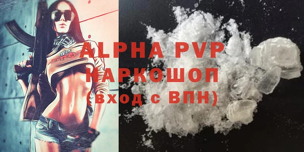 крисы Инта