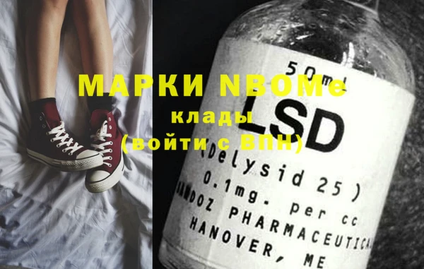 крисы Инта