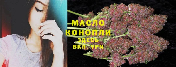 крисы Инта