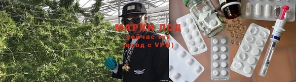 ECSTASY Инсар