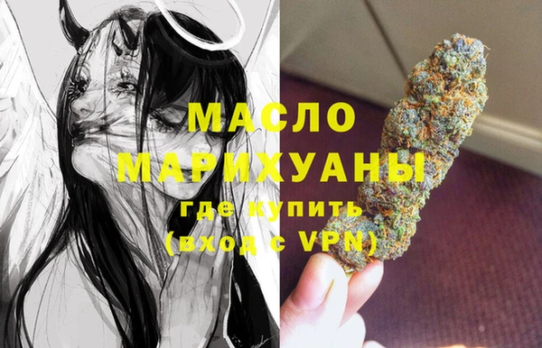 крисы Инта